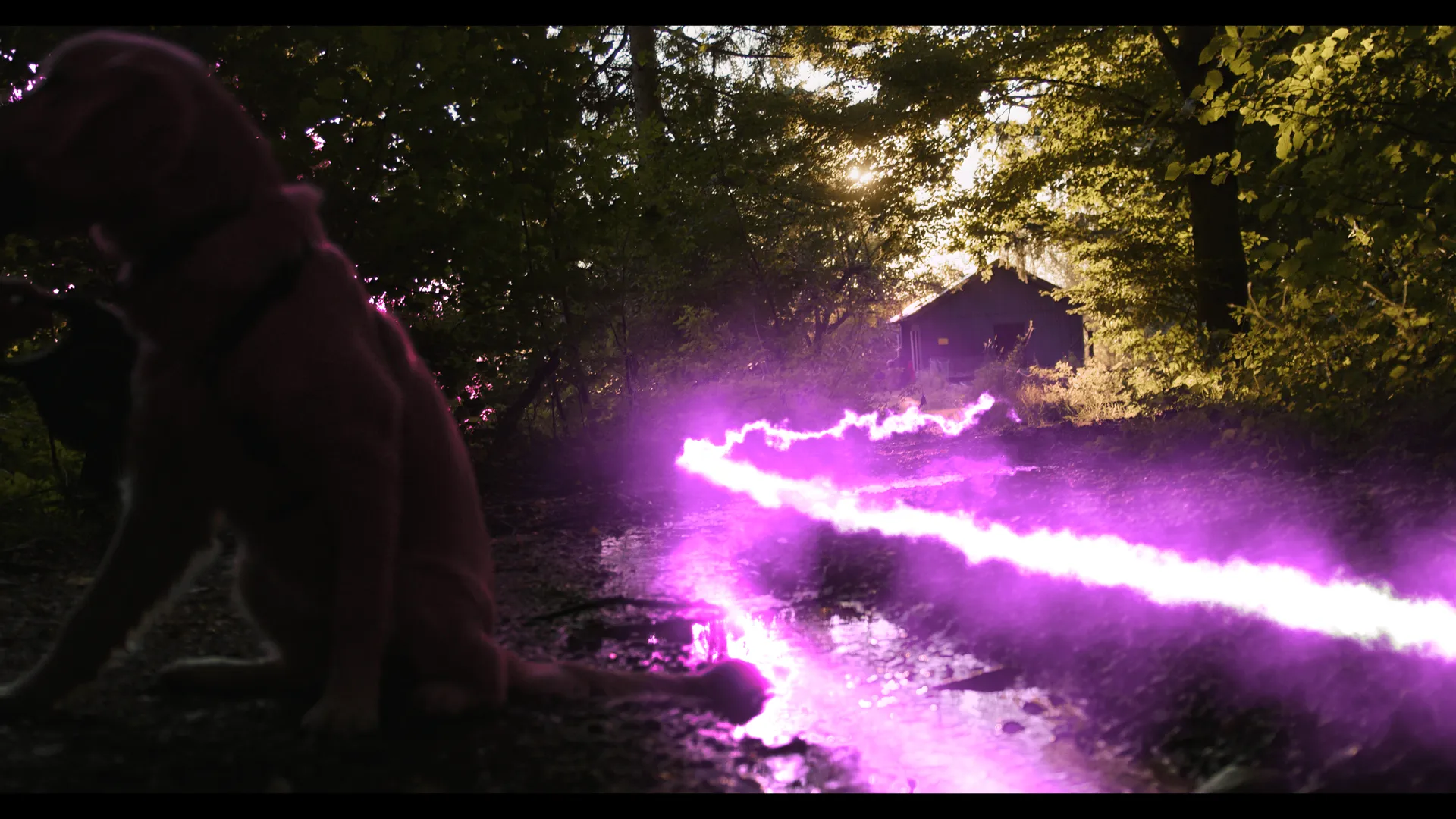 Magical
